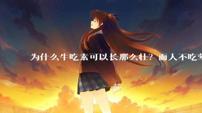 为什么牛吃素可以长那么壮？而人不吃荤就不行？