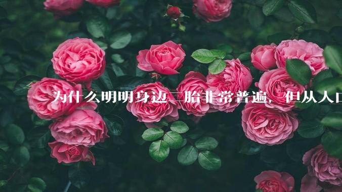 为什么明明身边二胎非常普遍，但从人口统计数据看，人口依然是在减少的？