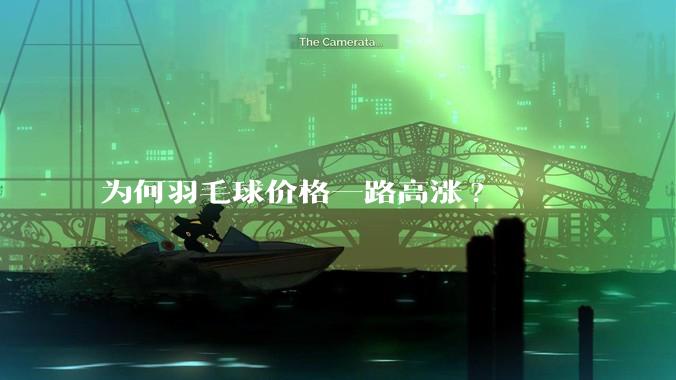 为何羽毛球价格一路高涨?