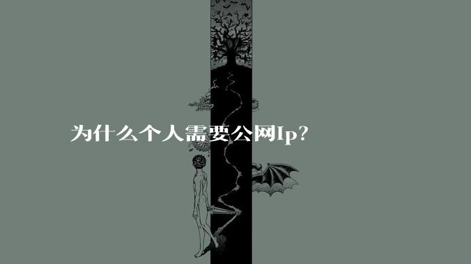 为什么个人需要公网ip？