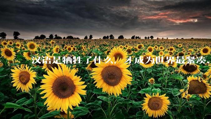 汉语是牺牲了什么，才成为世界最紧凑、最高效的语言？