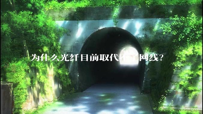 为什么光纤目前取代不了网线？