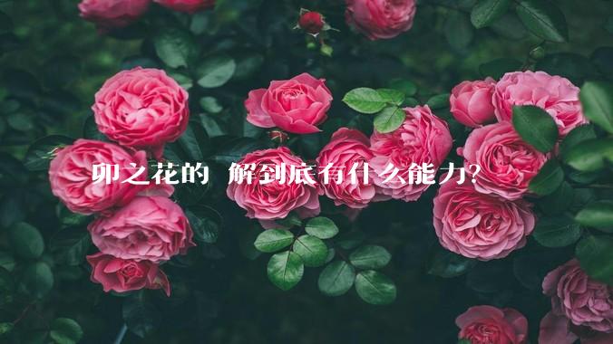 卯之花的卍解到底有什么能力？