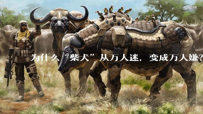 为什么“柴犬”从万人迷，变成万人嫌？