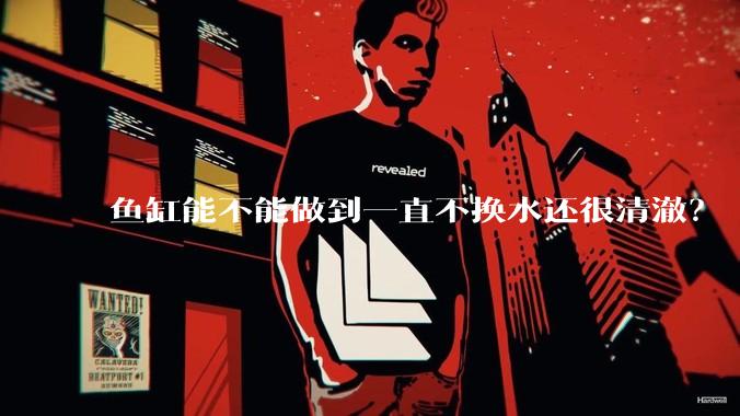 鱼缸能不能做到一直不换水还很清澈？
