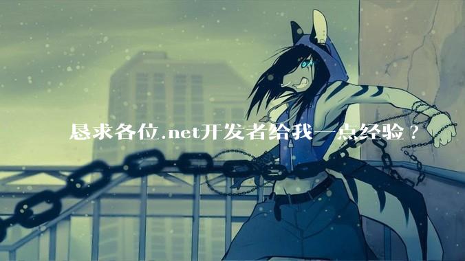 恳求各位.net开发者给我一点经验?