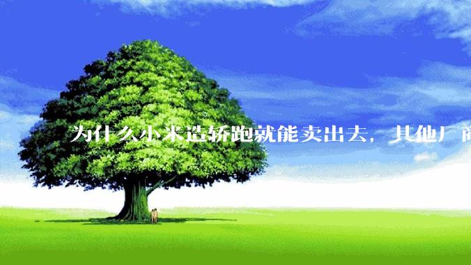 为什么小米造轿跑就能卖出去，其他厂商的轿跑就不好卖呢？