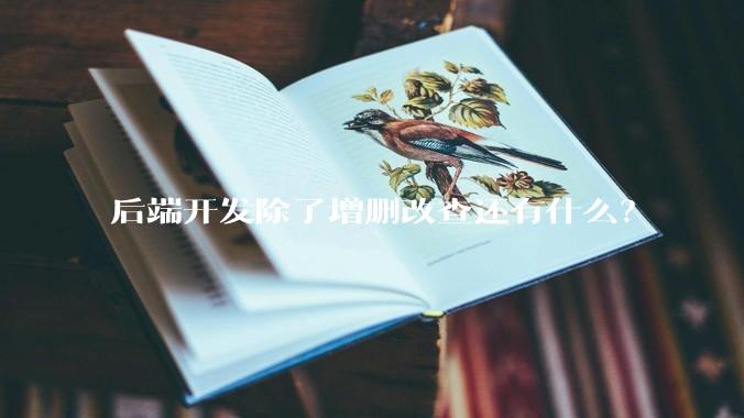 后端开发除了增删改查还有什么？