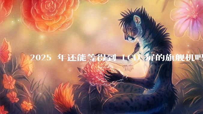 2025 年还能等得到 LCD 屏的旗舰机吗？