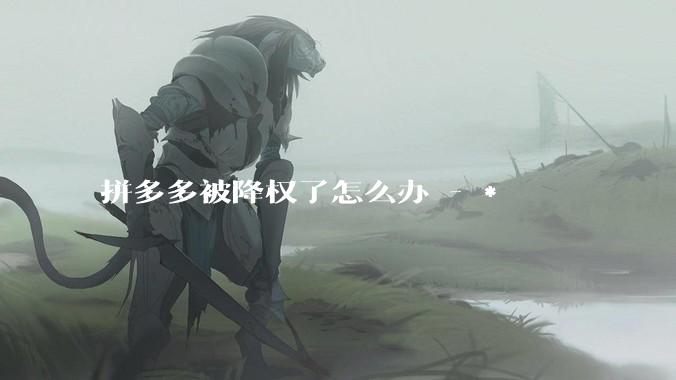 拼多多被降权了怎么办 - *