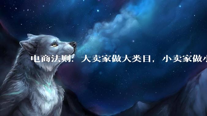 电商法则：大卖家做大类目，小卖家做小类目 - *