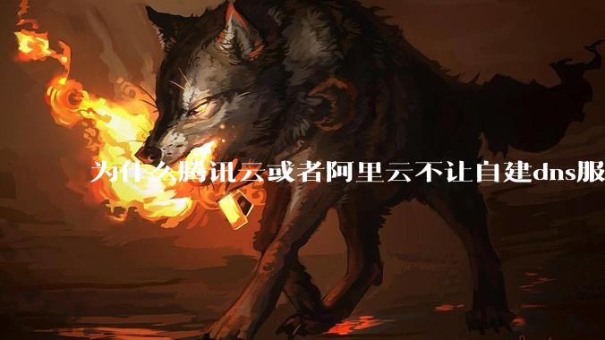 为什么腾讯云或者阿里云不让自建dns服务器?