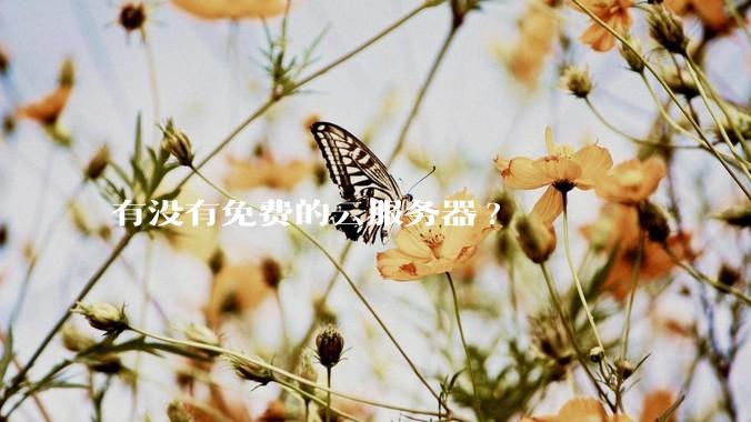 有没有免费的云服务器?