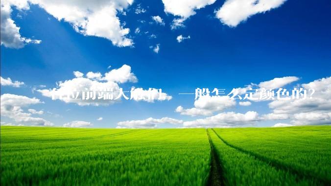 各位前端大触们，一般怎么定颜色的？