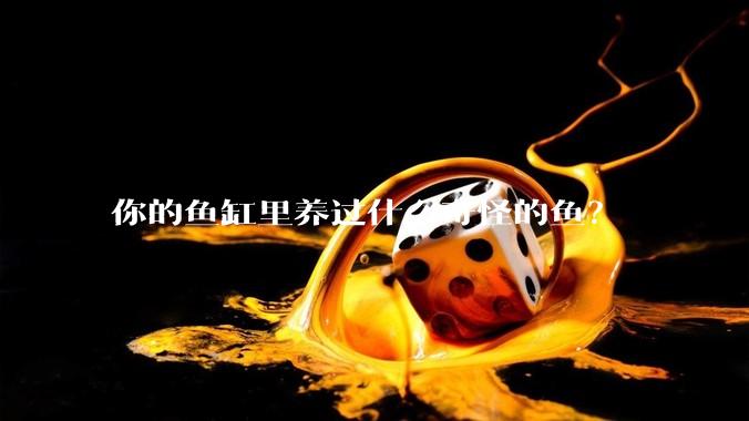 你的鱼缸里养过什么奇怪的鱼？