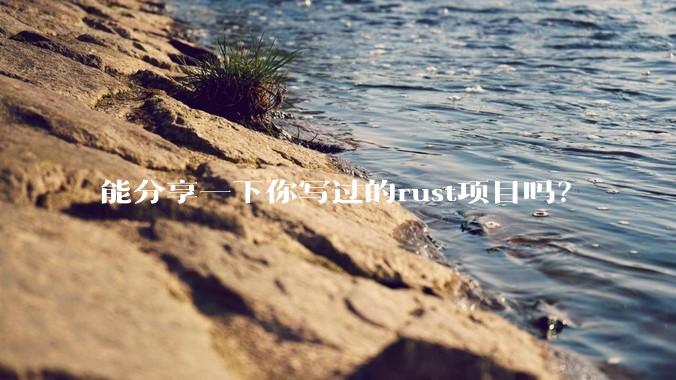 能分享一下你写过的rust项目吗？