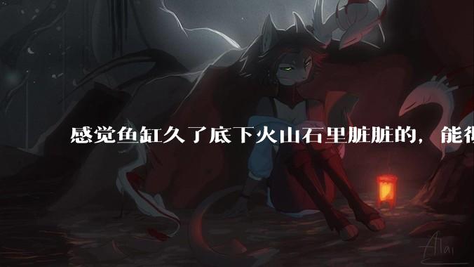 感觉鱼缸久了底下火山石里脏脏的，能彻底换水清理一遍不？