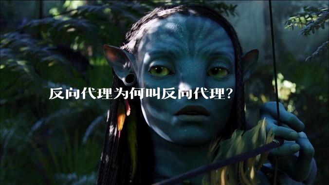 反向代理为何叫反向代理？