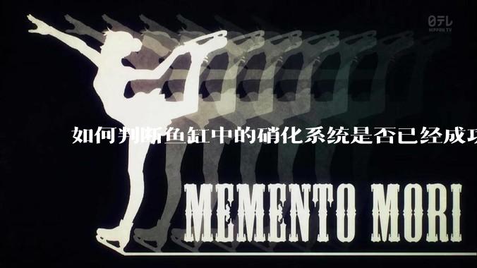 如何判断鱼缸中的硝化系统是否已经成功建立？