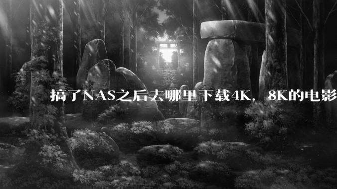 搞了NAS之后去哪里下载4K，8K的电影？