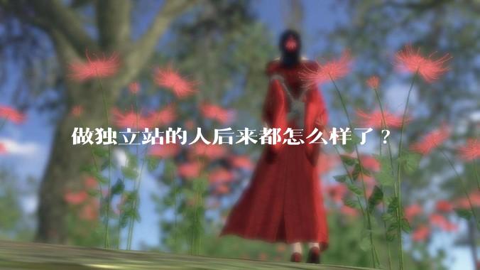 做独立站的人后来都怎么样了?