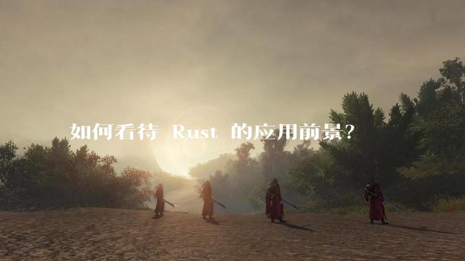 如何看待 Rust 的应用前景？