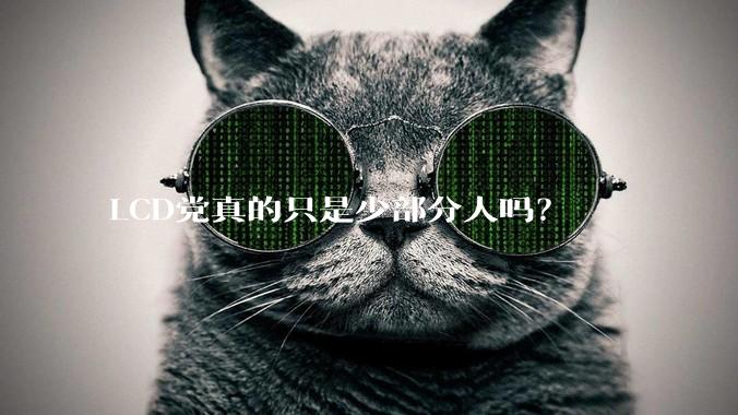 LCD党真的只是少部分人吗？