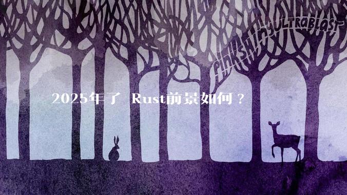 2025年了 Rust前景如何?