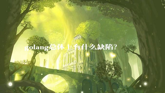 golang总体上有什么缺陷？