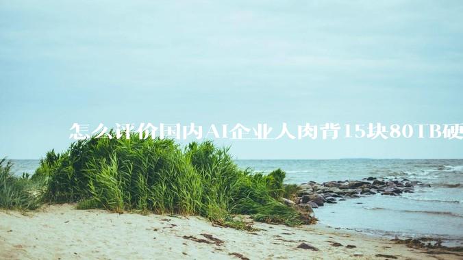 怎么评价国内AI企业人肉背15块80TB硬盘，飞去马来西亚用英伟达训练数据，以规避美国禁令?