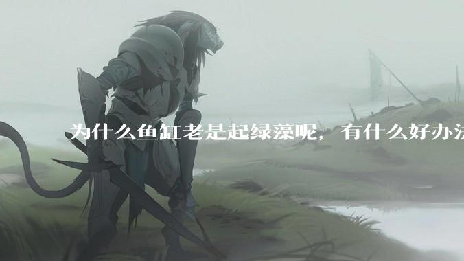 为什么鱼缸老是起绿藻呢，有什么好办法不用整天擦鱼缸？
