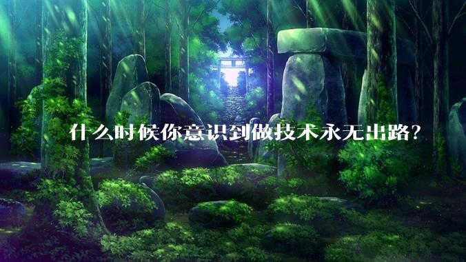 什么时候你意识到做技术永无出路？
