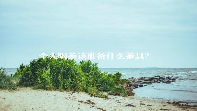 一个人喝茶该准备什么茶具？