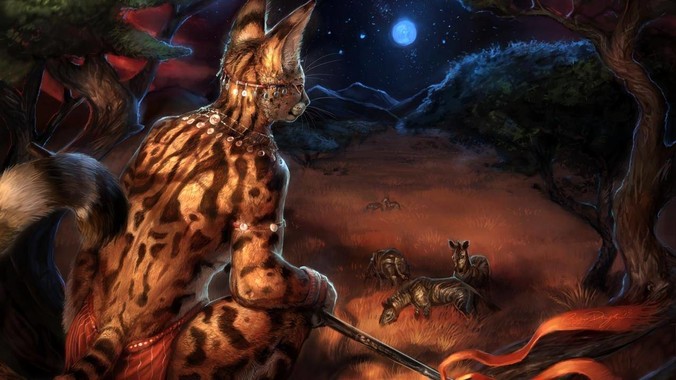 如果在野外发现了一只大熊猫，很脏，领回家给他洗个澡，再养几天，犯法吗？